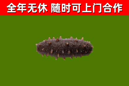 尖草坪区烟酒回收干海参.jpg